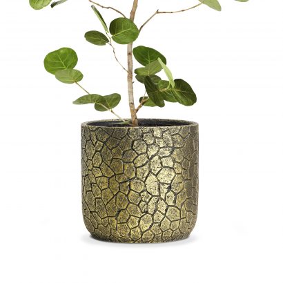 Golden Rustic 9 Plant Pot
