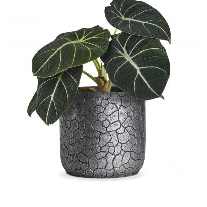 Silver Rustic 9 Plant Pot