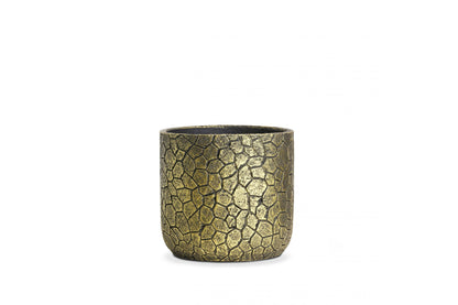 Celia Gold Cells 15cm